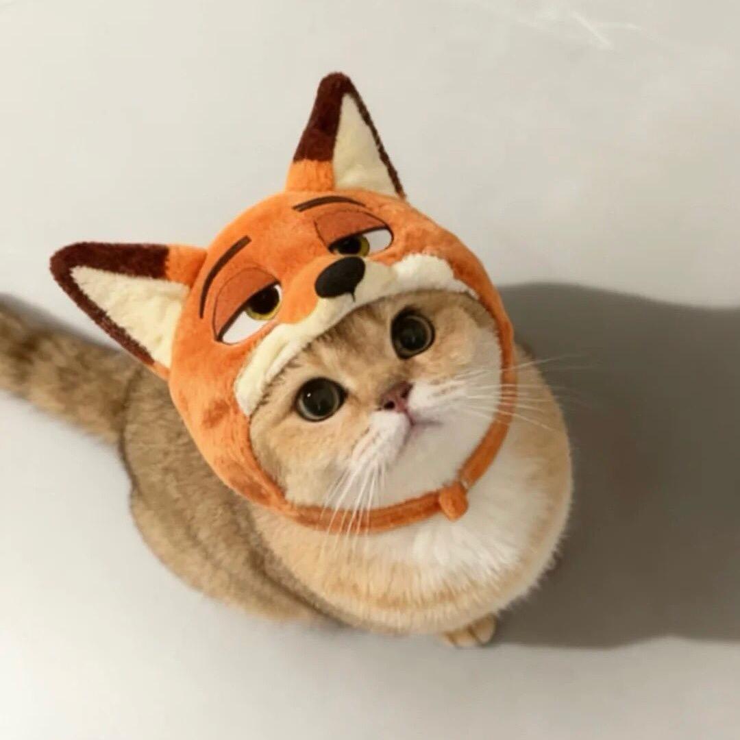 冬天天DoReMiFaSol