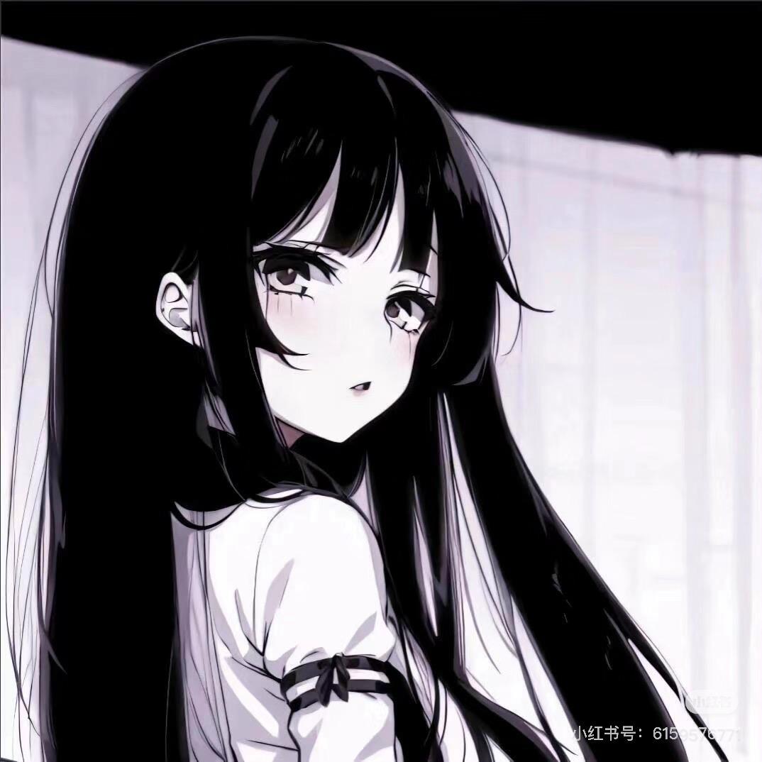 小猫碎碎念⌯