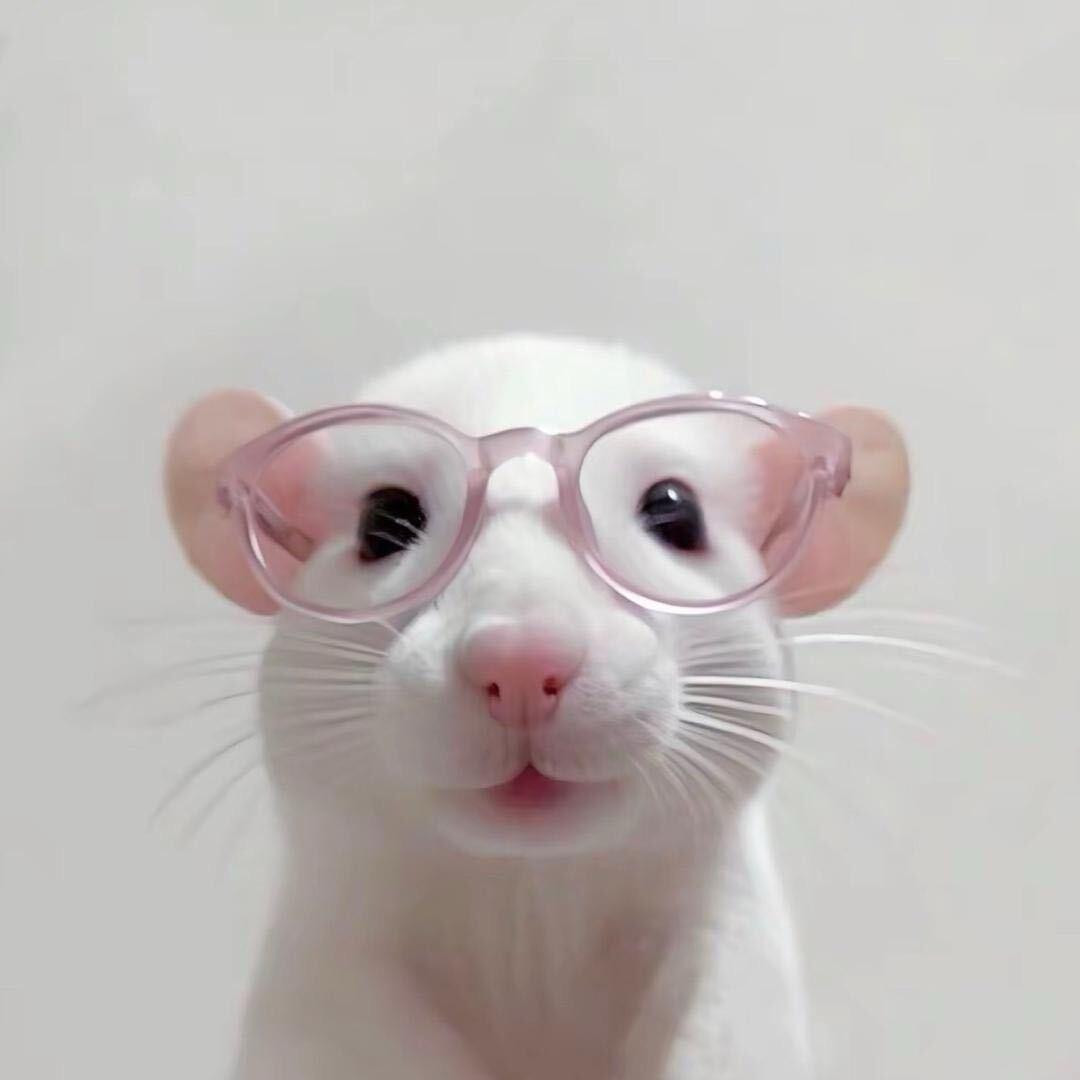 激动欧腚.