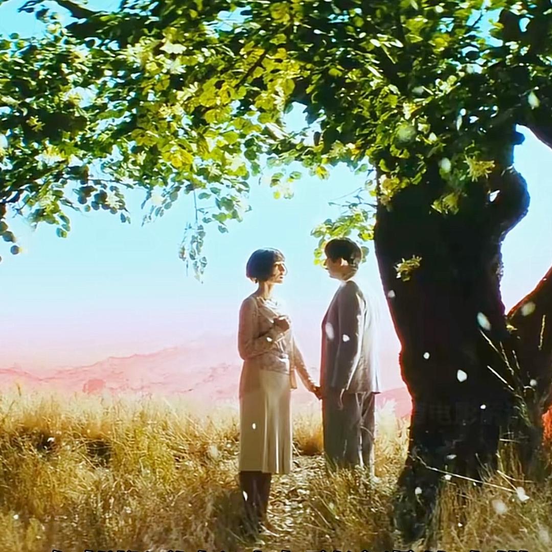 青燈為誰空守夜