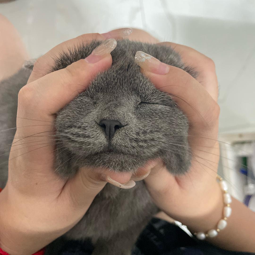 榨菜配白粥.🥕