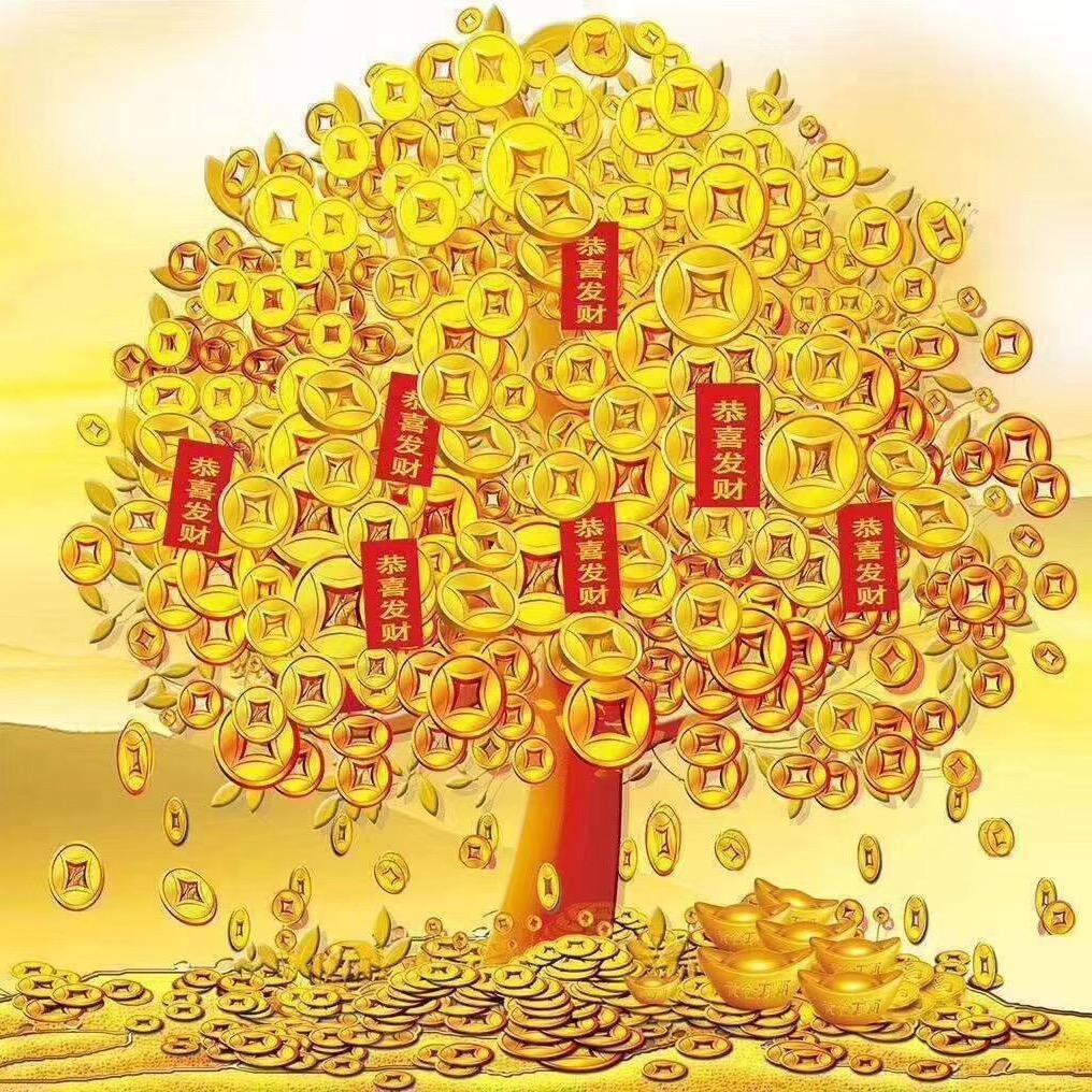 Zhᴗang·ᰔᩚ🌟