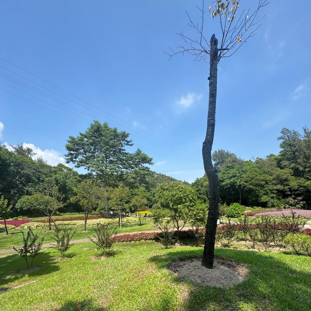 集美区房东