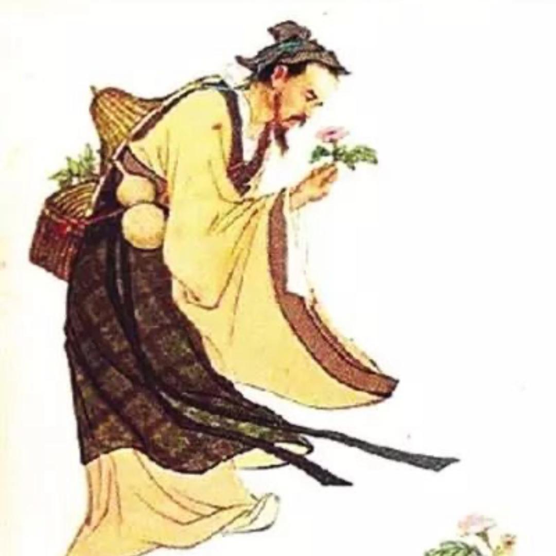 伈缘爱分享