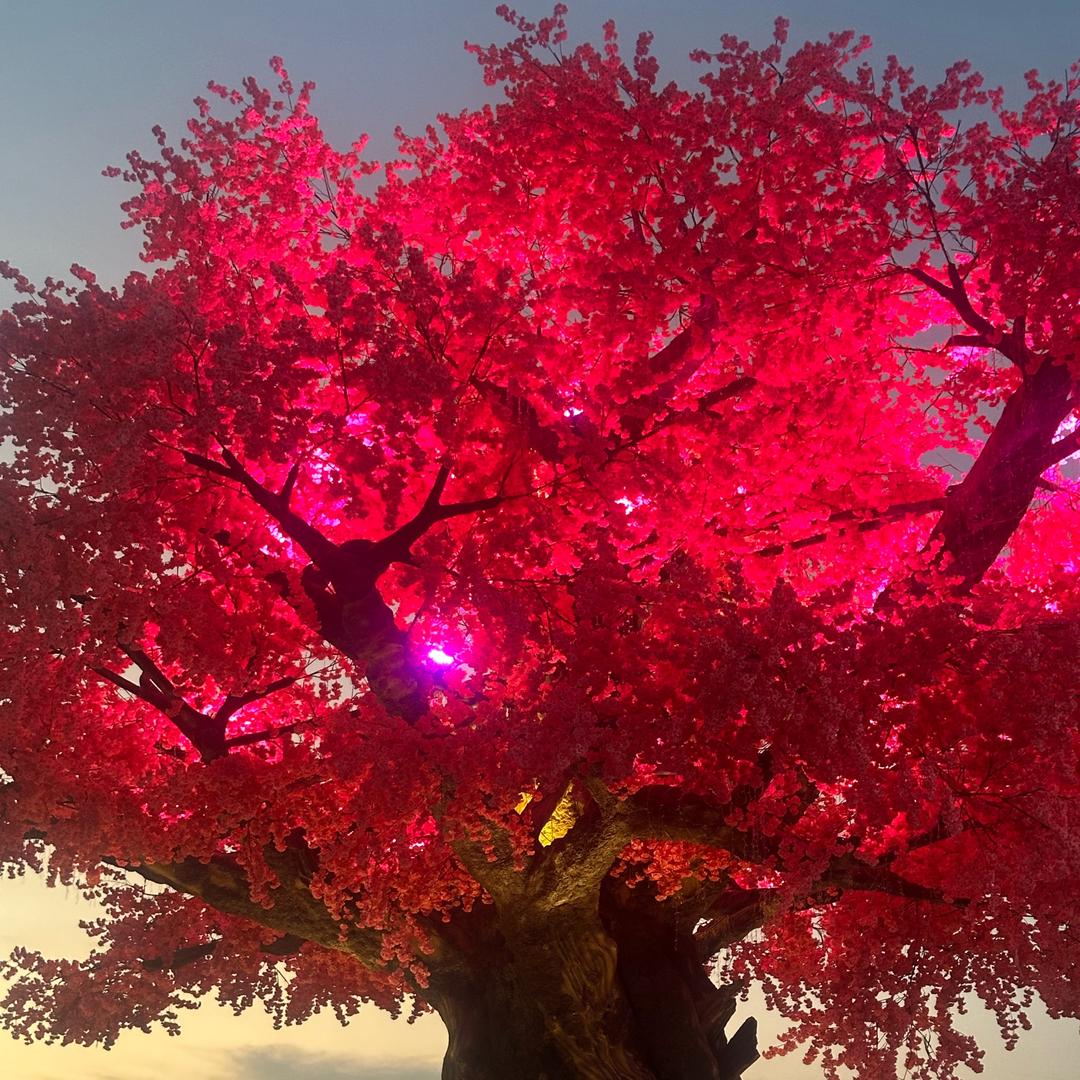 莉莉酱♓️的保镖