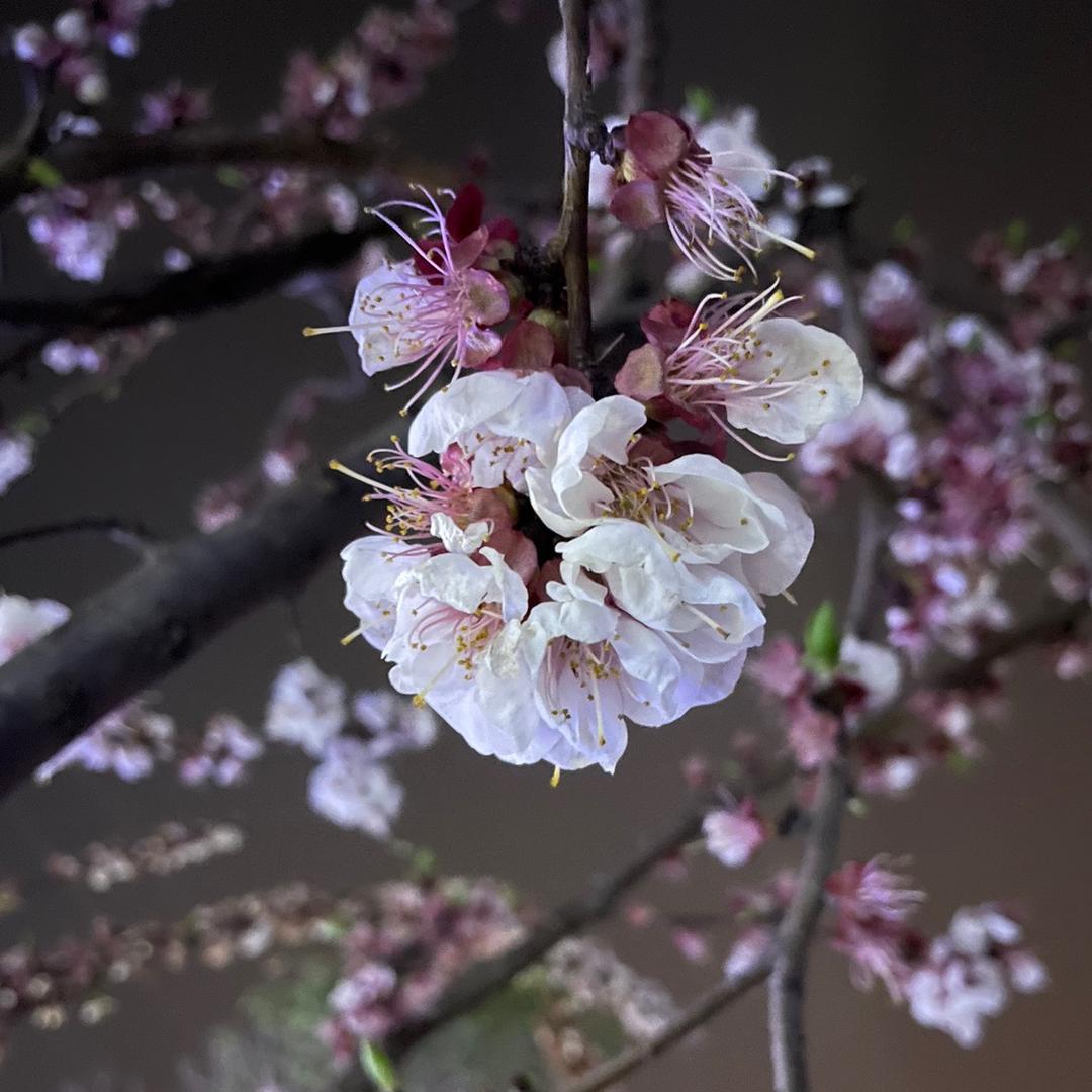 中轩商贸（晓越纸品）