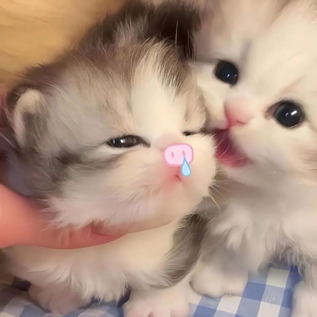 你说如果没有爱那又如何