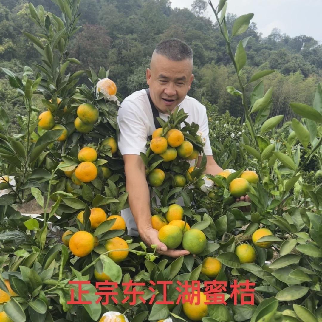 优鲜农产品甄选