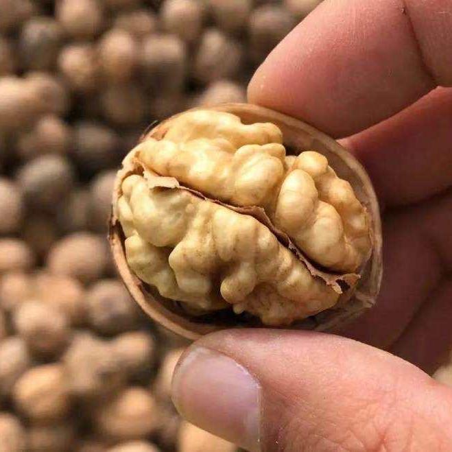 疆果缘干果鲜果