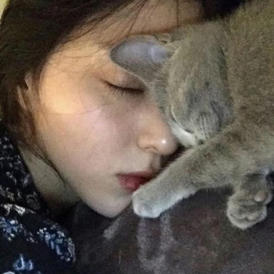 腊丸券