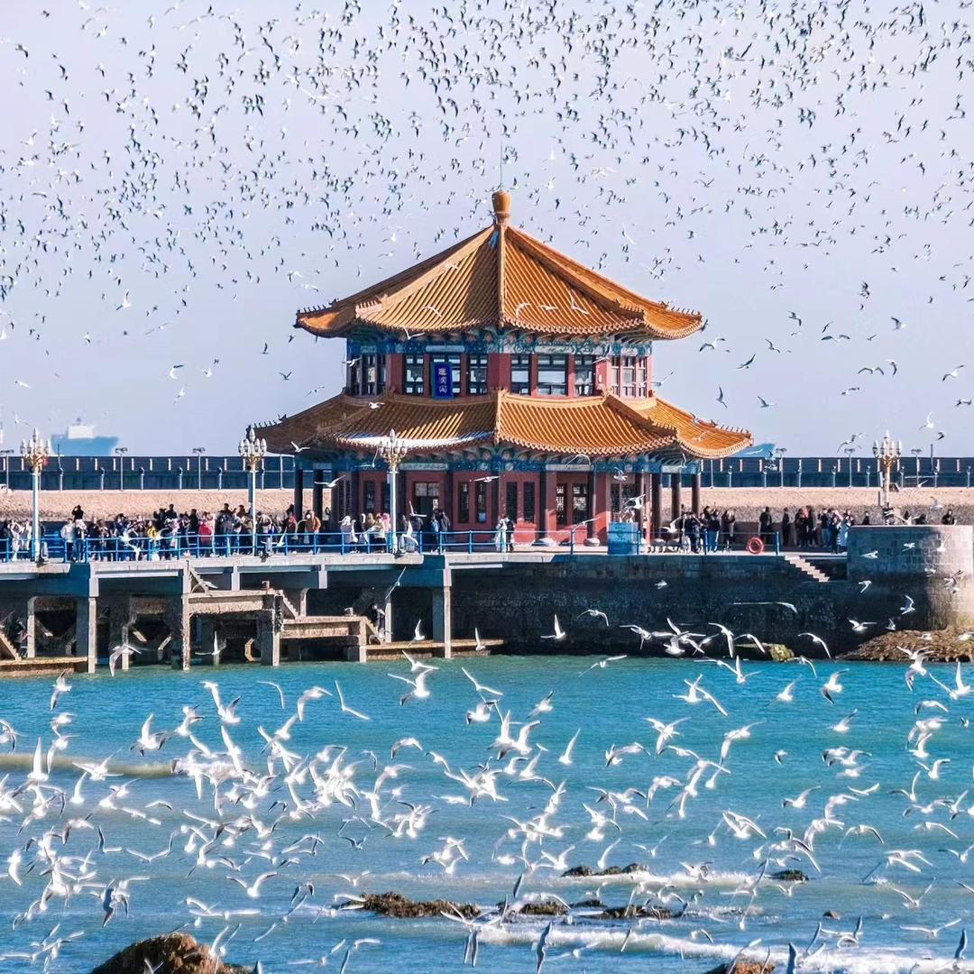 青岛刘得住