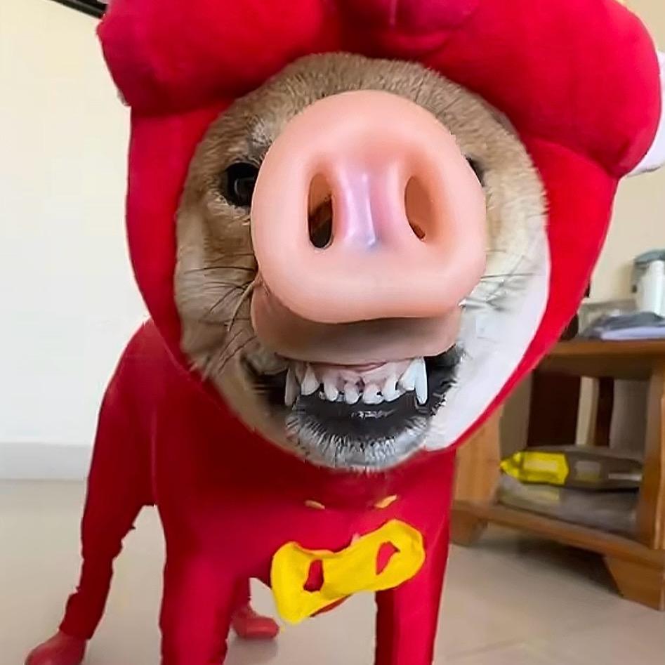 fekp