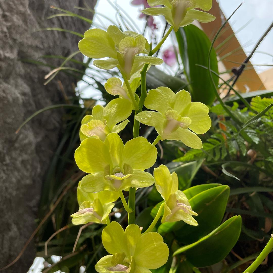 小雨妈妈