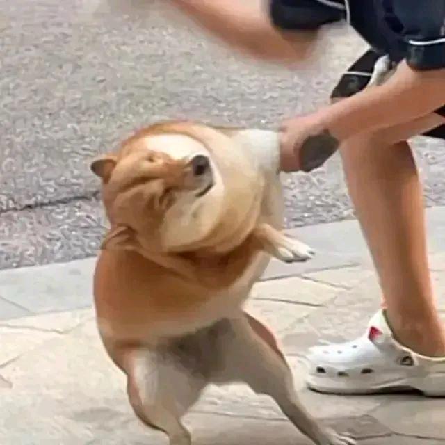 等雨停