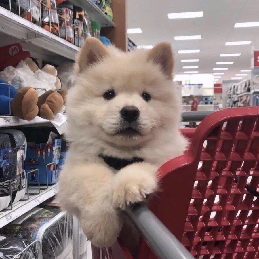 两黄毛的创业日常@抖音