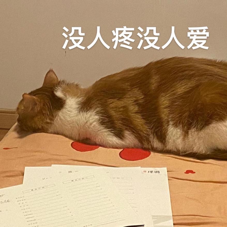 邪恶小花狗