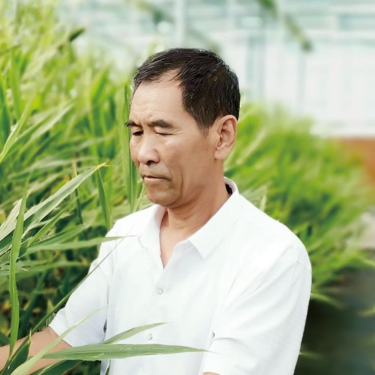 生姜科普大使