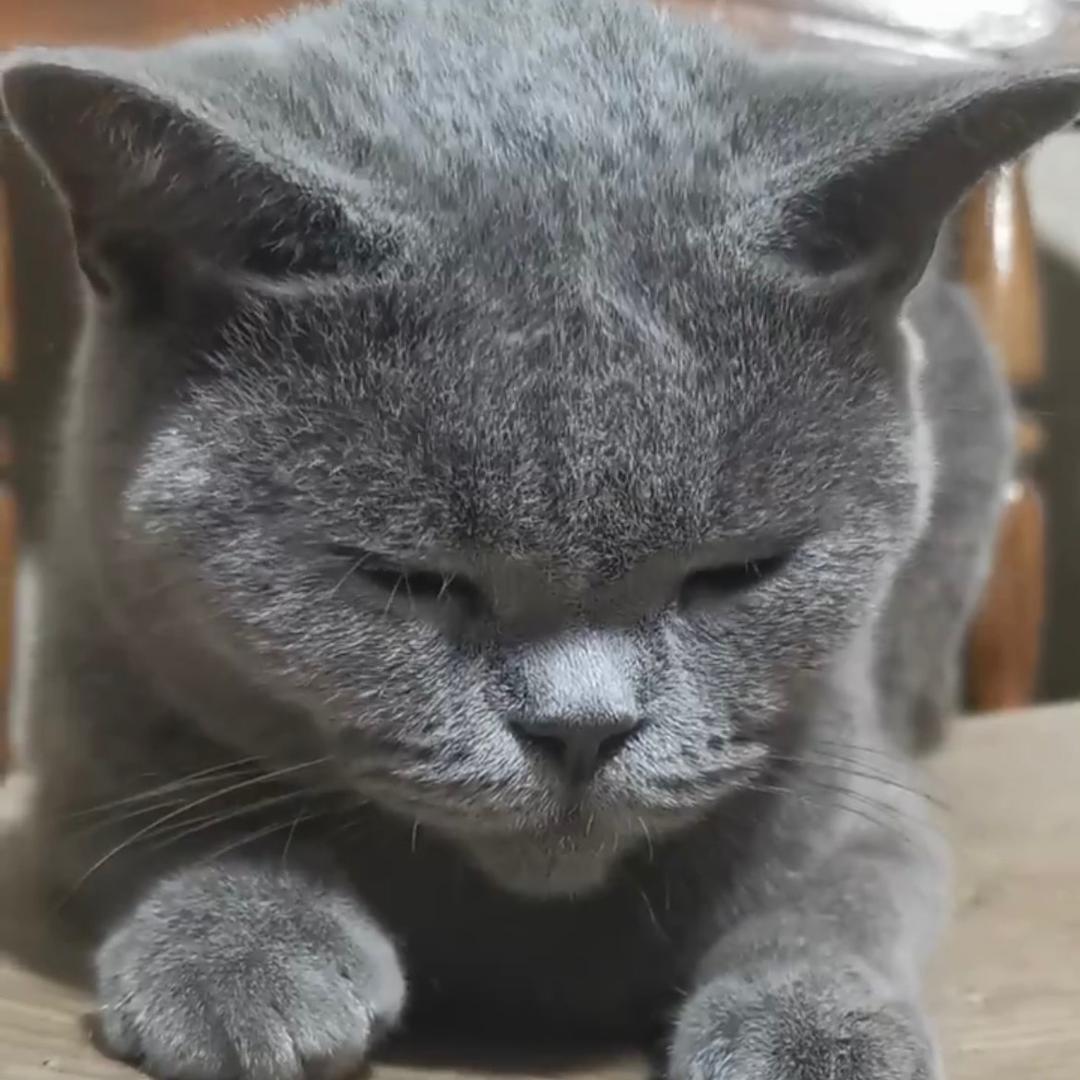梦里有时继续做梦