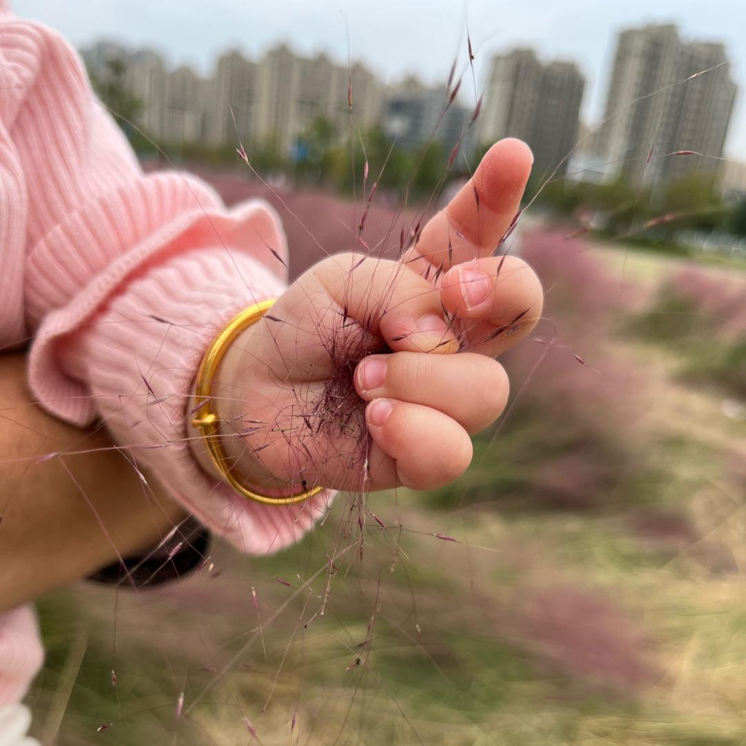 杨班长冰糖葫芦💋💋