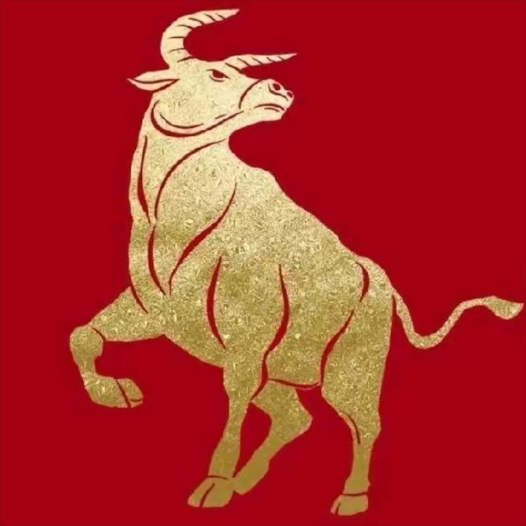 单身快乐