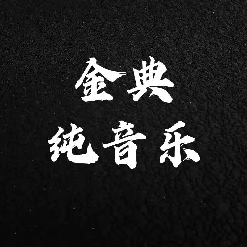 金典纯音乐（可够U盘）