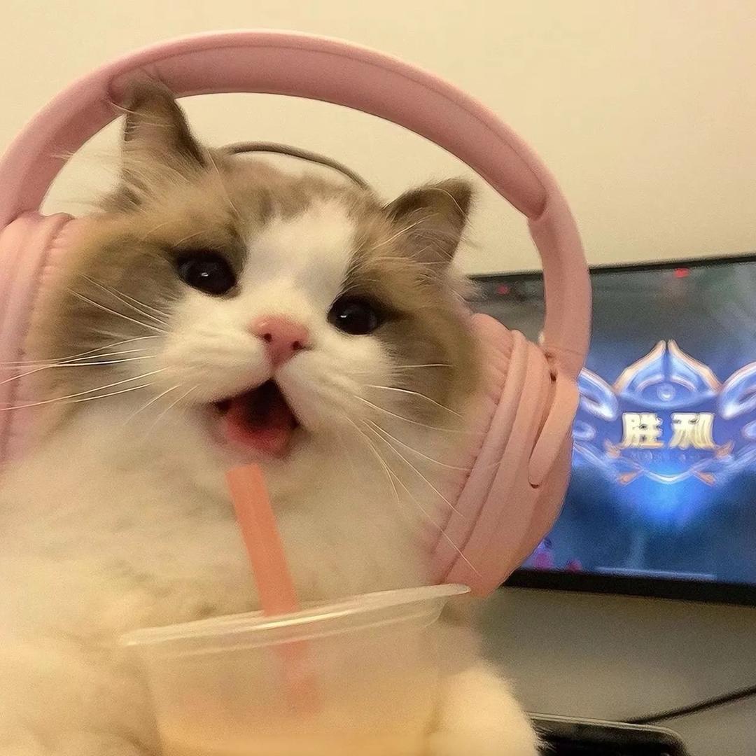 蛋蛋喵拆卡的头像