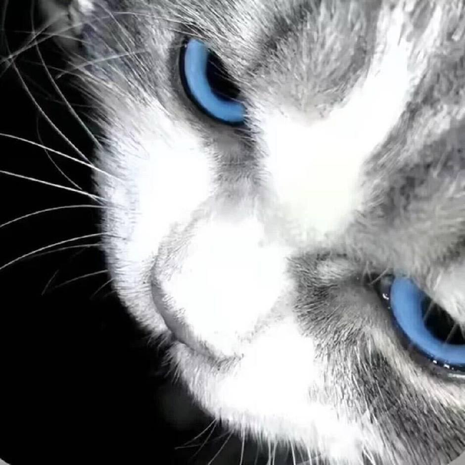 特玥珲汽车精品店