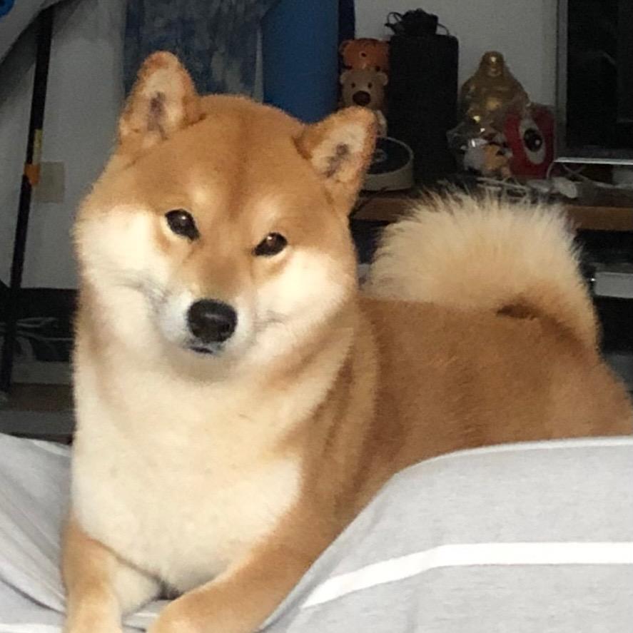 用户4400056886990