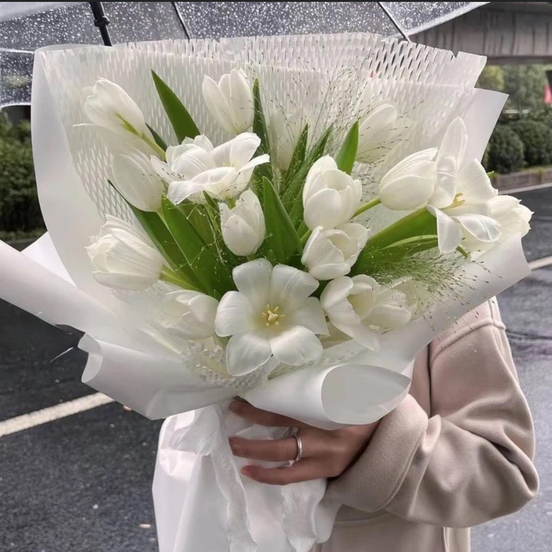 只想做你的人间小野莓