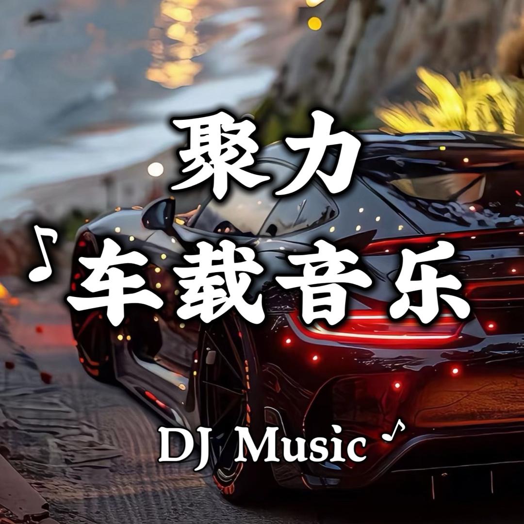 聚力车载DJ音乐【优盘 CD】