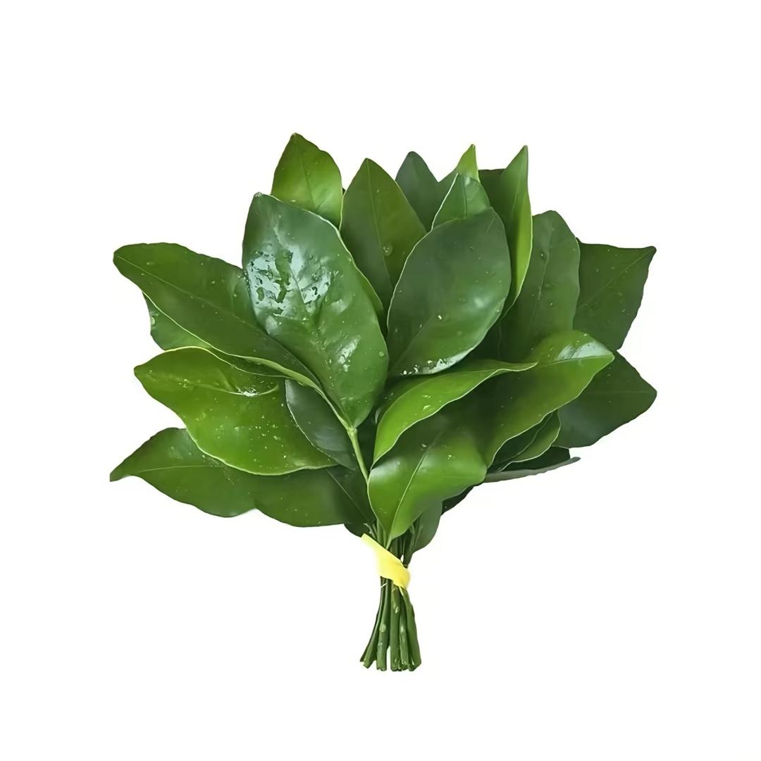 胖胖