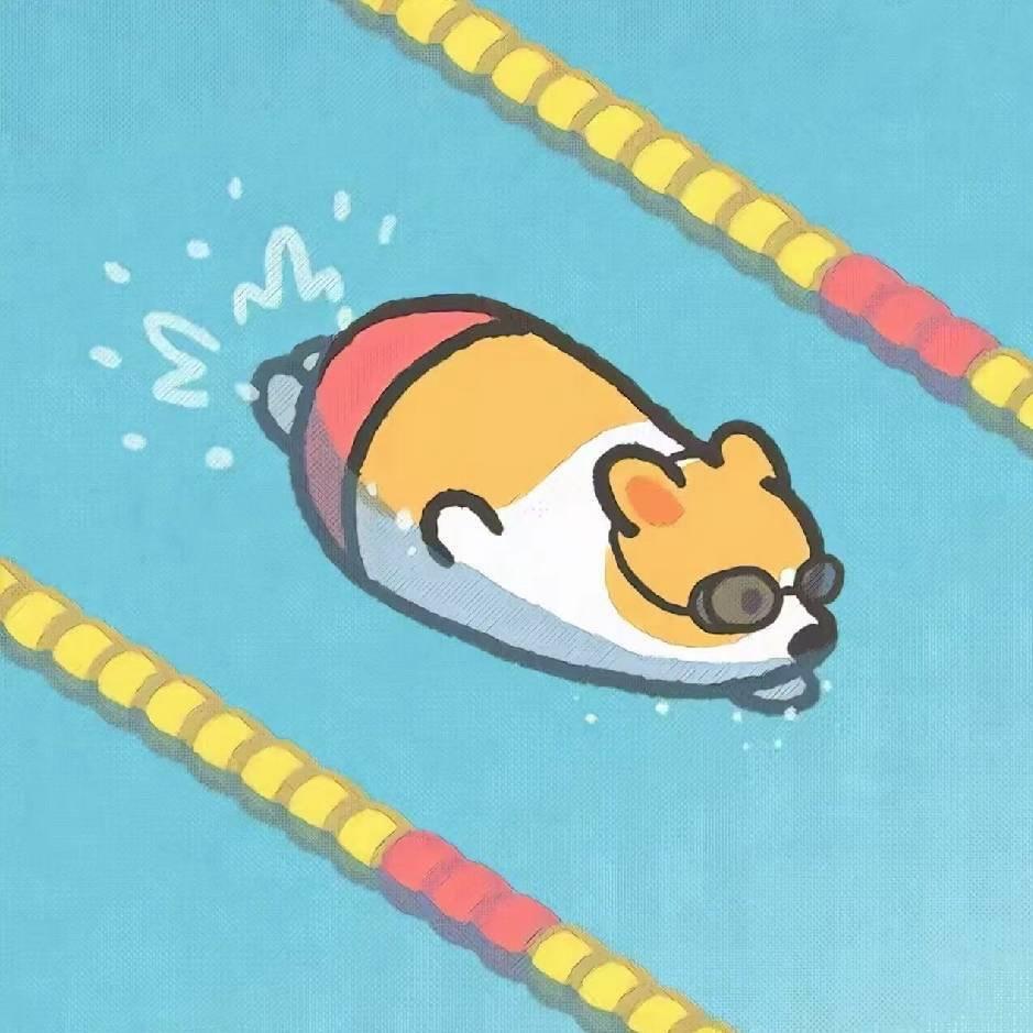 小刘老师🏊🇨🇳