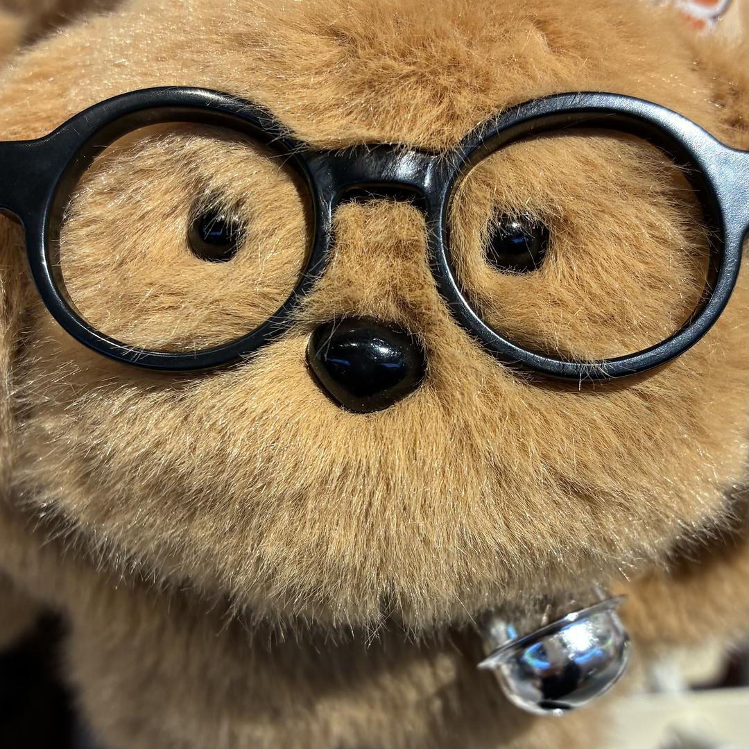 嗯对，北半球最帅。