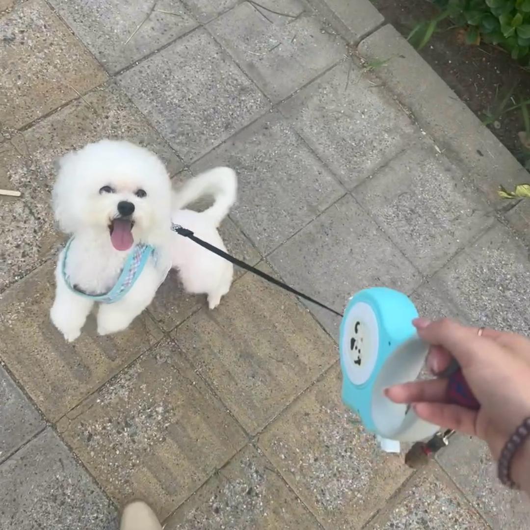 柚柚爱吃肉