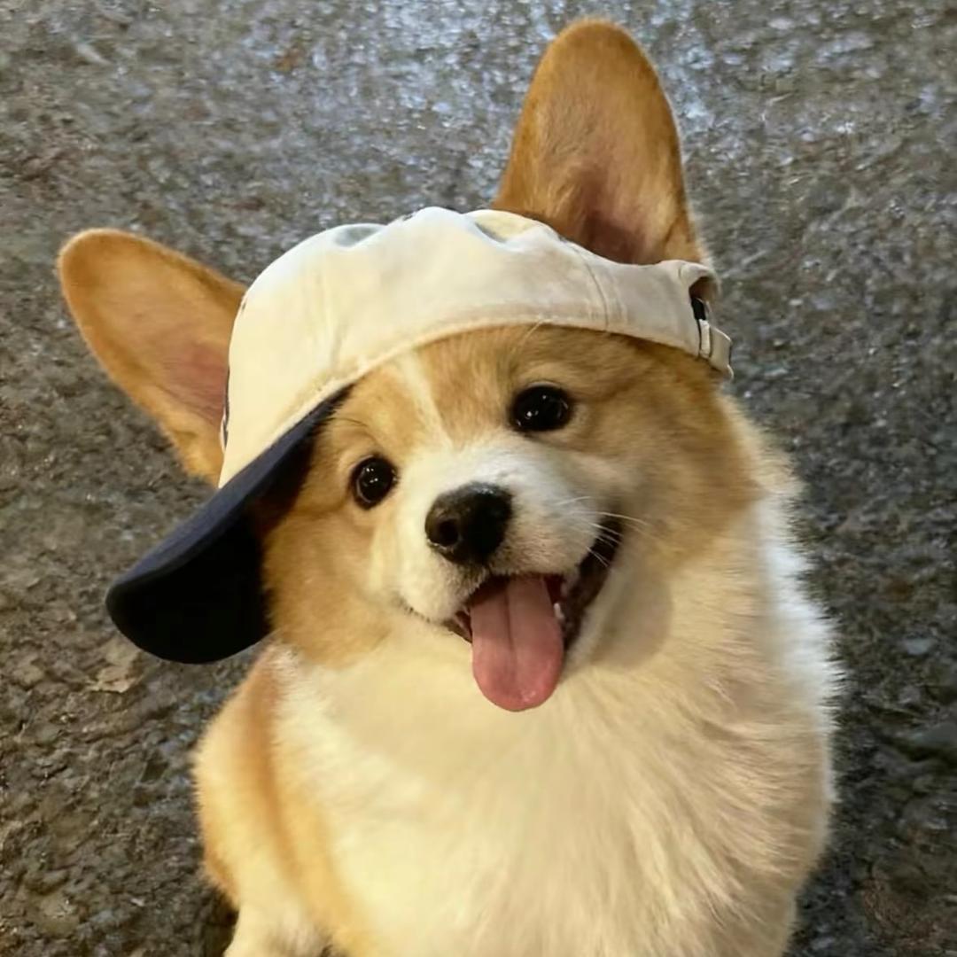 晚安咯＾
