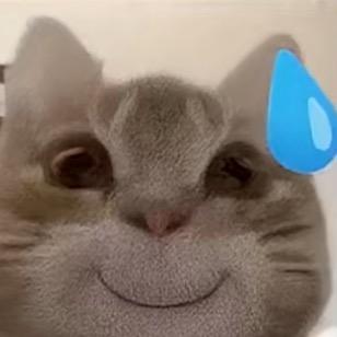 祝你逃出苦难向春山.