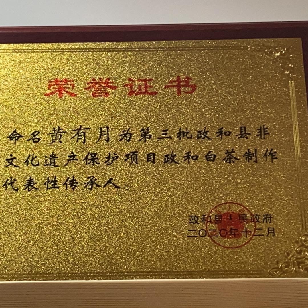 政和白茶非遗传承人黄有月