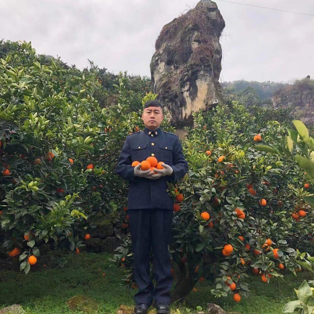 （姜班长）退役种水果