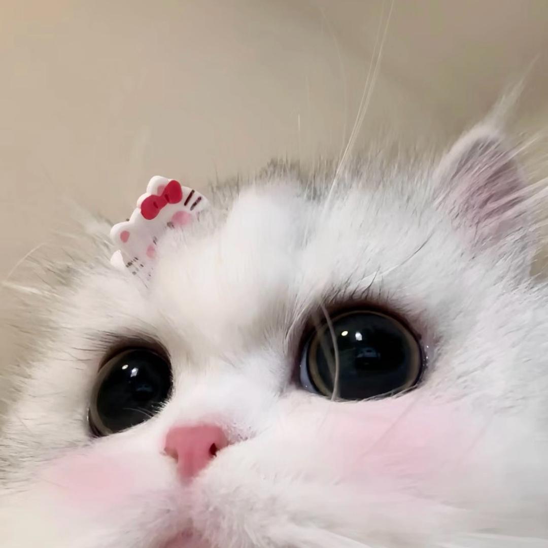 爆米花