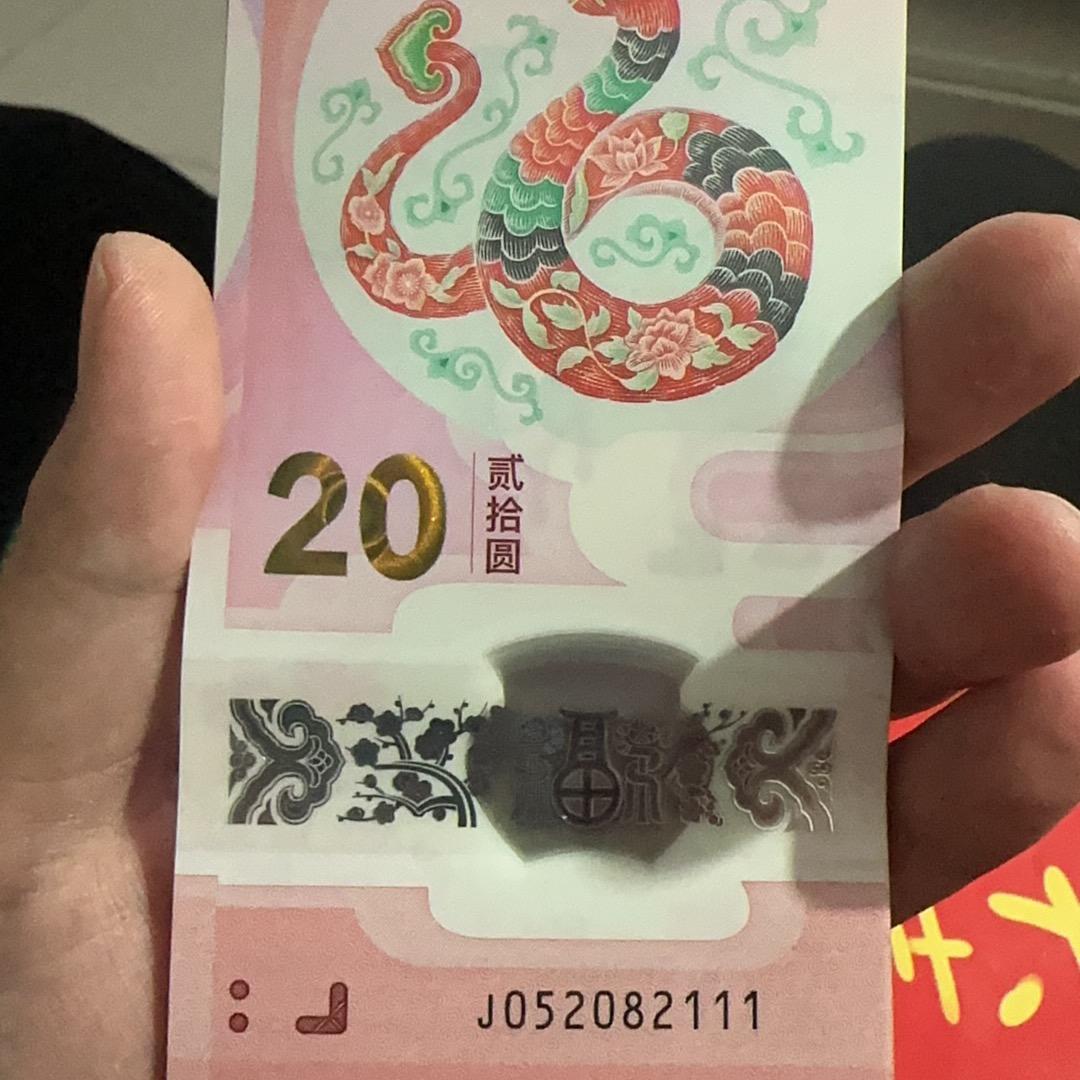 蛇年纪念币（商丘 民权）