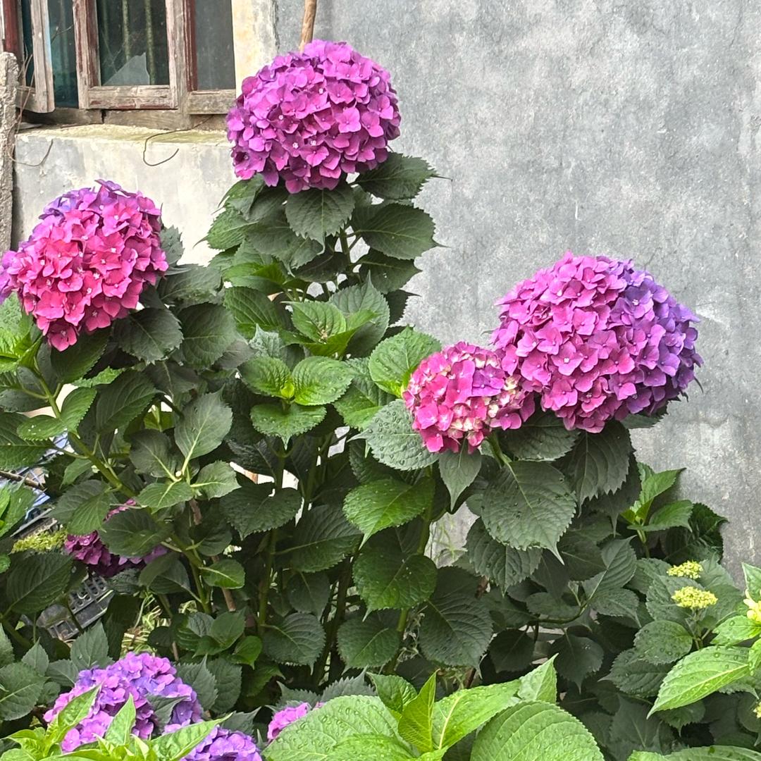 今天下几点