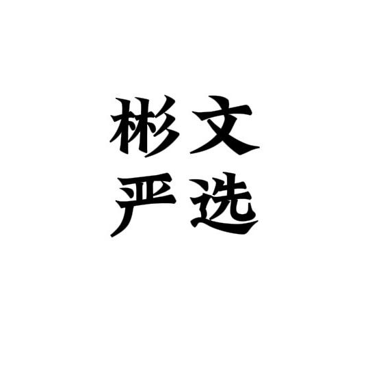 彬文 严选