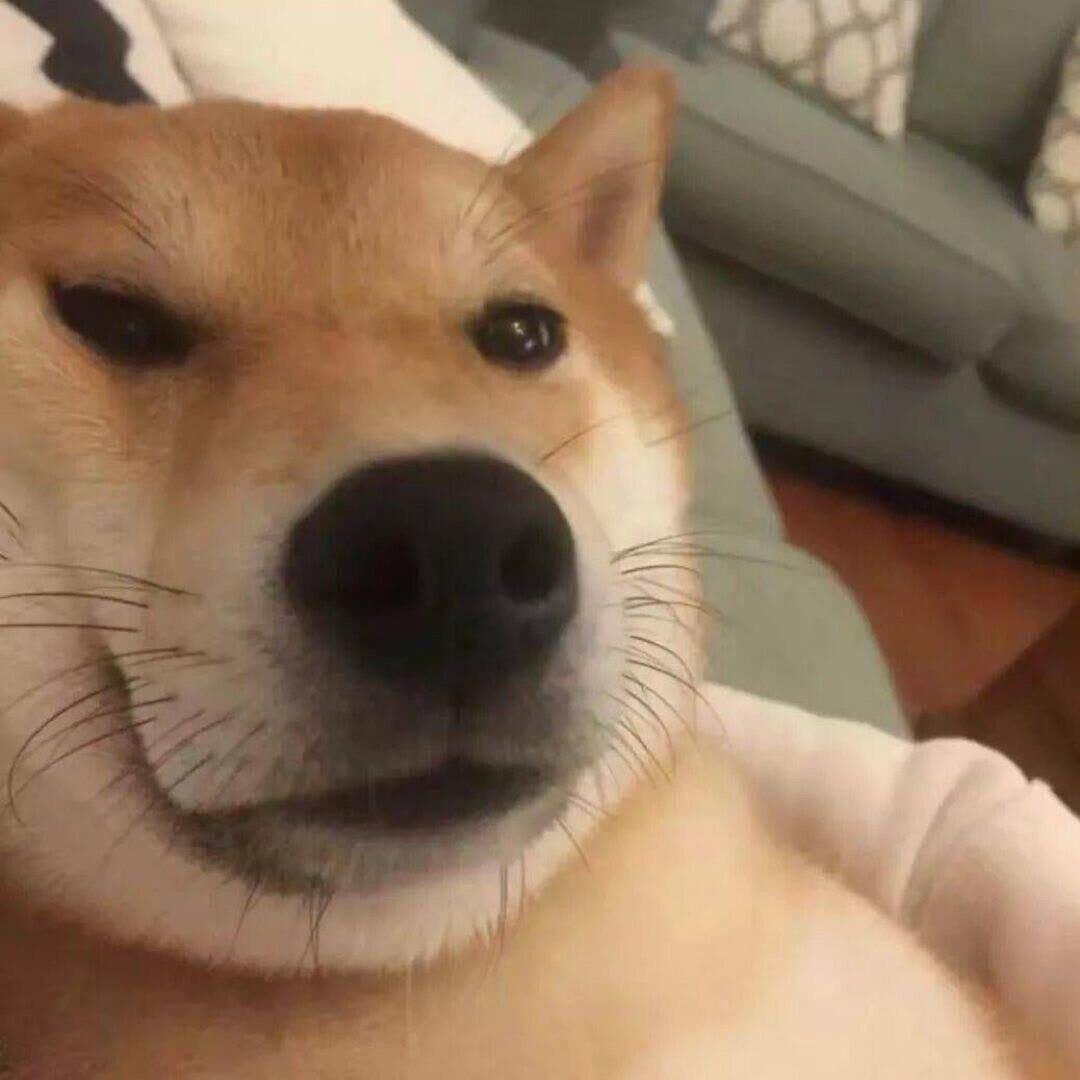 Syyy_