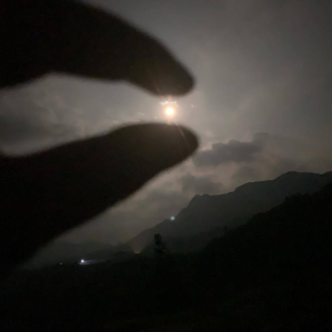 清茶煮酒