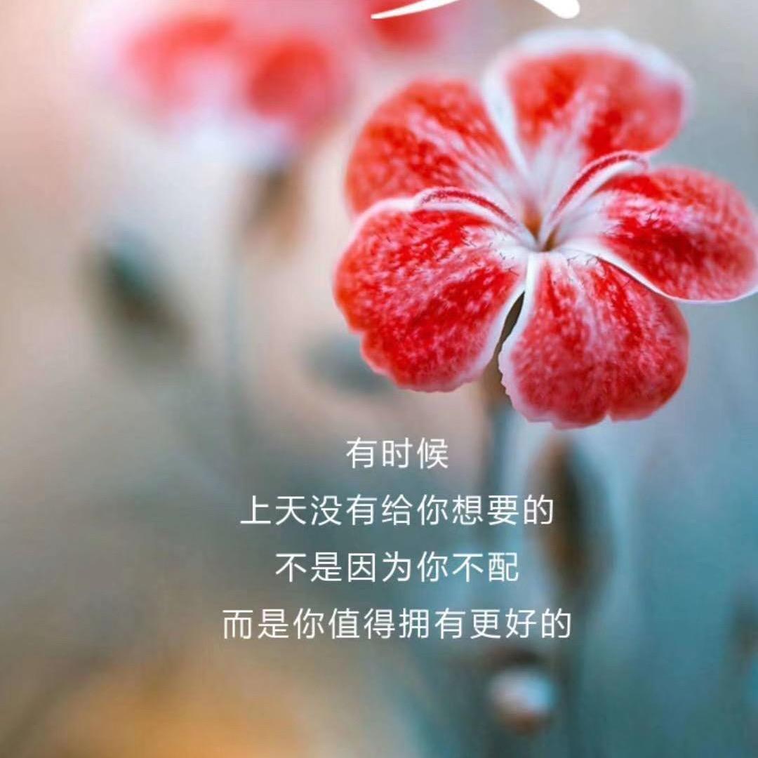 哈欠歌曲