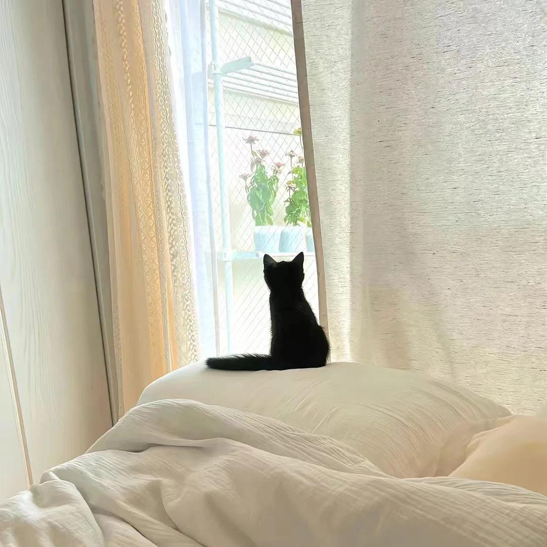 1018