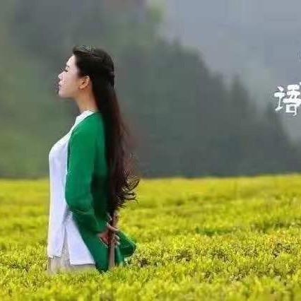 越来越美