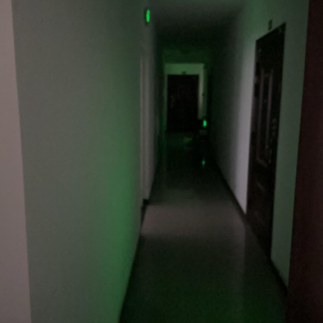一起长大的旅行
