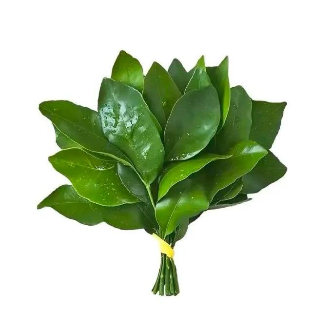 不眠🎧