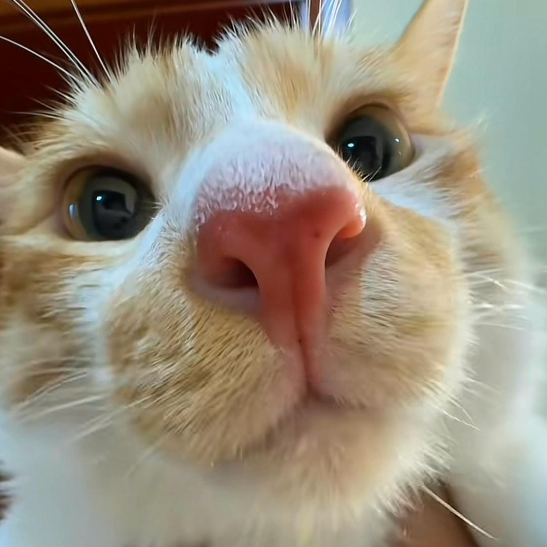 你的好朋友小赵